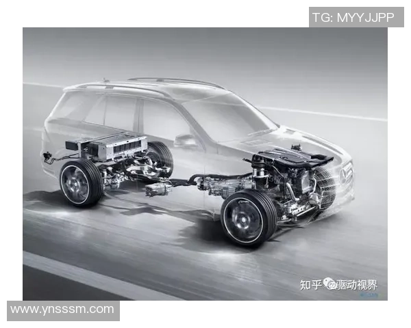 焦点娱乐产品路线规划与市场趋势分析的深度研究与展望